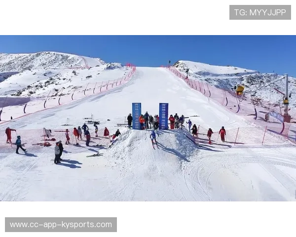 高山滑雪赛事志愿者参与国际志愿者交流提升服务能力，2021高山滑雪比赛